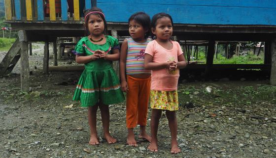 War Child Holland_Colombia_Choco_Seeds_201126