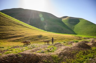 250421_WCA_AF_Badghis_Livelihoods_Landscape_52030-07-23-min